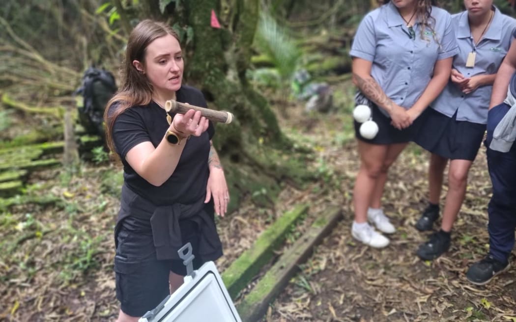 Mahoenui giant wēta handler Danielle Lloyd explains how juvenile wētā are released inside a bamboo tube.