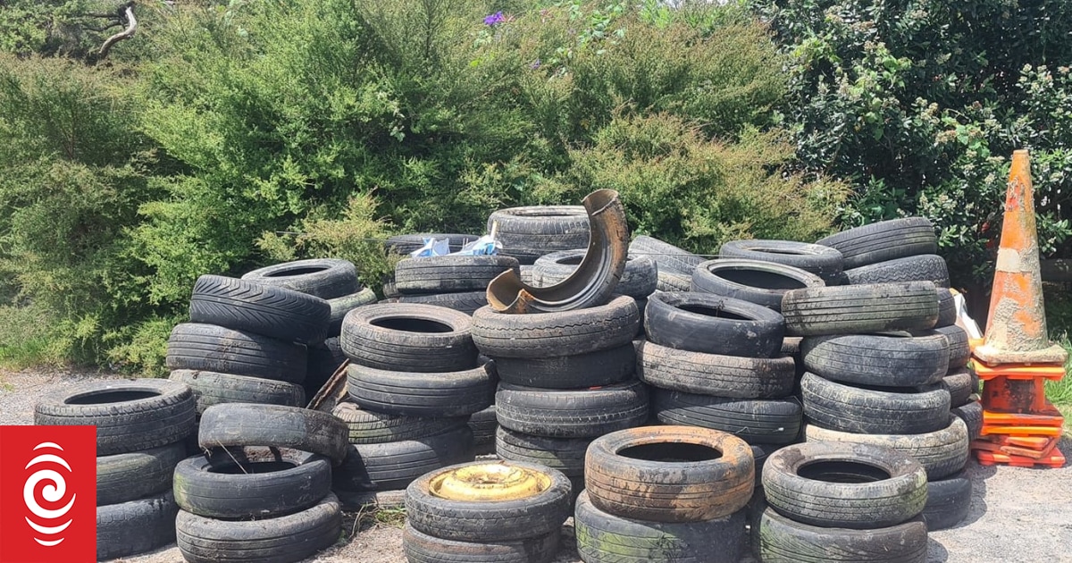 Rotorua locals tackling litter and dumped tyres want city crowned most beautiful again - Vimarsana News