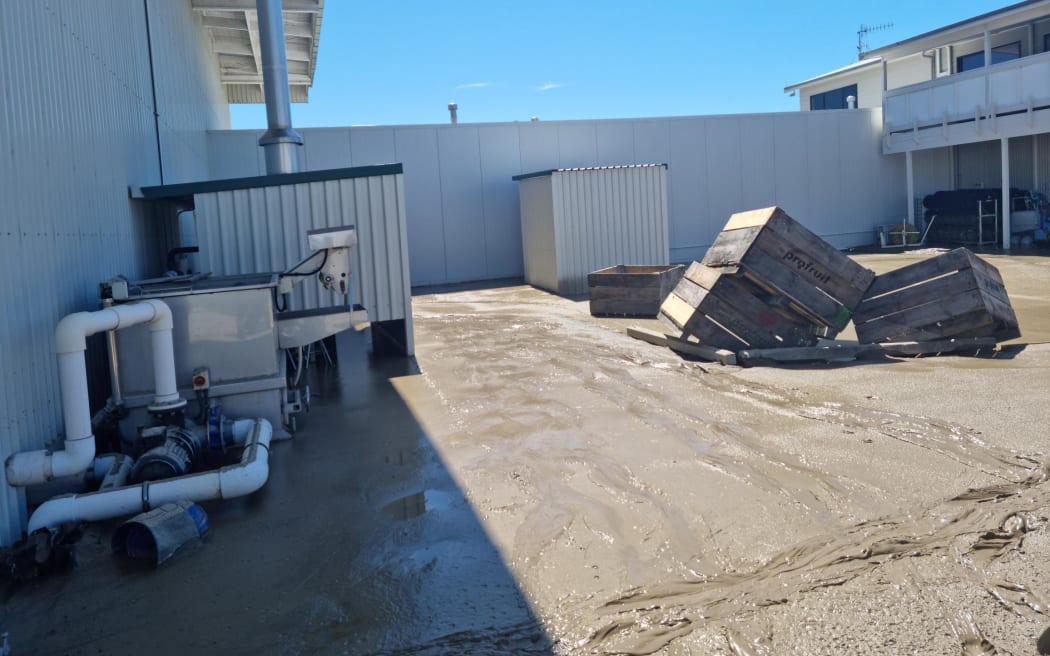 Damage at an apple pack house near Napier