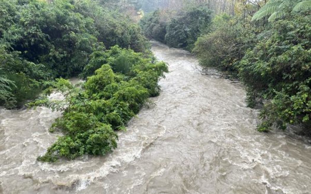 Ngatiawa River in Tararua National Park