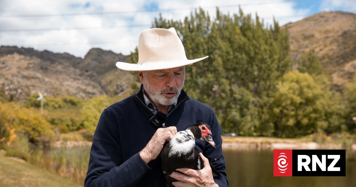 Sir Sam Neill's famous love for animals and wine at Two Paddocks