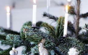 Denmark Christmas Tree