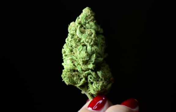 Colorado has legalised the possession and use of small amounts of marijuana.