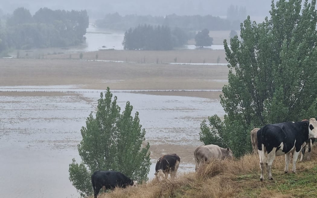 Wairarapa arable farmer Karen Williams said the heavy rain at the weekend was the worst she's seen since a large flood in 2004.