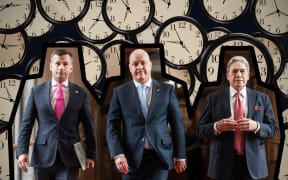 Parliament term limits