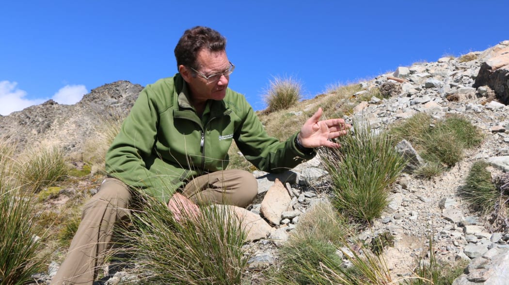 DOC ecologist Brian Rance