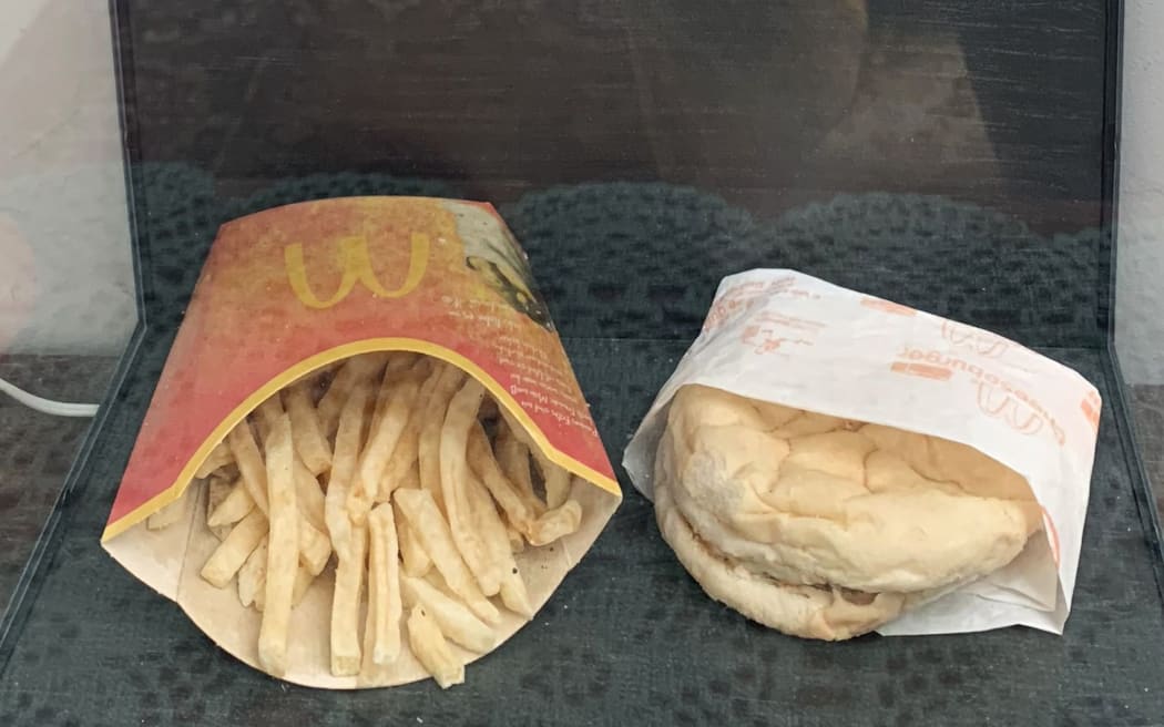 A burger with a side of fries protected in a glass case, belonging to Iceland's Hjortur Smarason, is on display in the Snotra House, a hostel in Thykkvibaer, southern Iceland, on October 31, 2019.