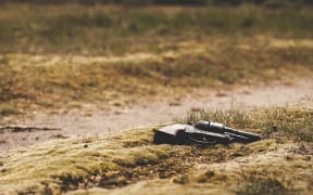 Gun