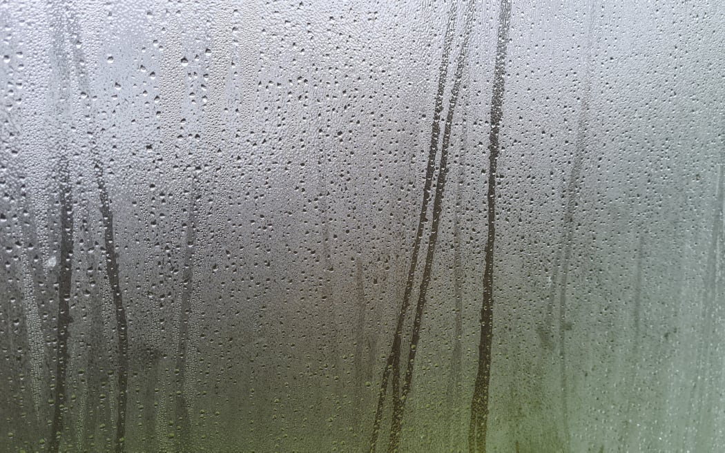 Window condensation.