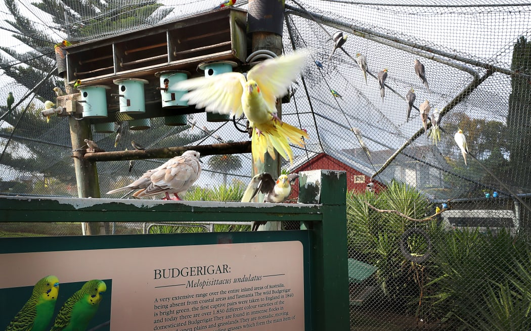 Rotokawau Virginia Lake's bird aviary, Whanganui