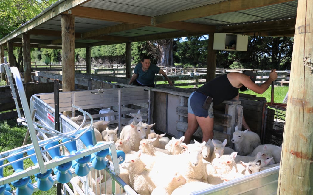 A Year on the Farm - Genna and Alistair Bird