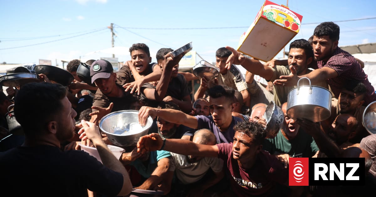 Food programme to Gaza cut back despite acute need, WFP says | RNZ