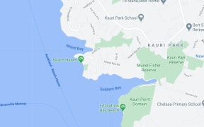 The incident happened on Island Bay Road in Beach Haven in Auckland.