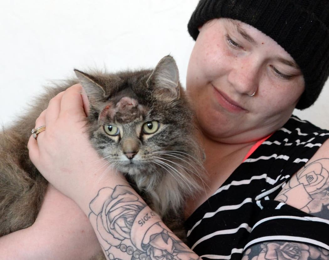A survivor of two air-gun shots to the head, Toast, recovers at home with the owner's daughter, Nicole Serong.