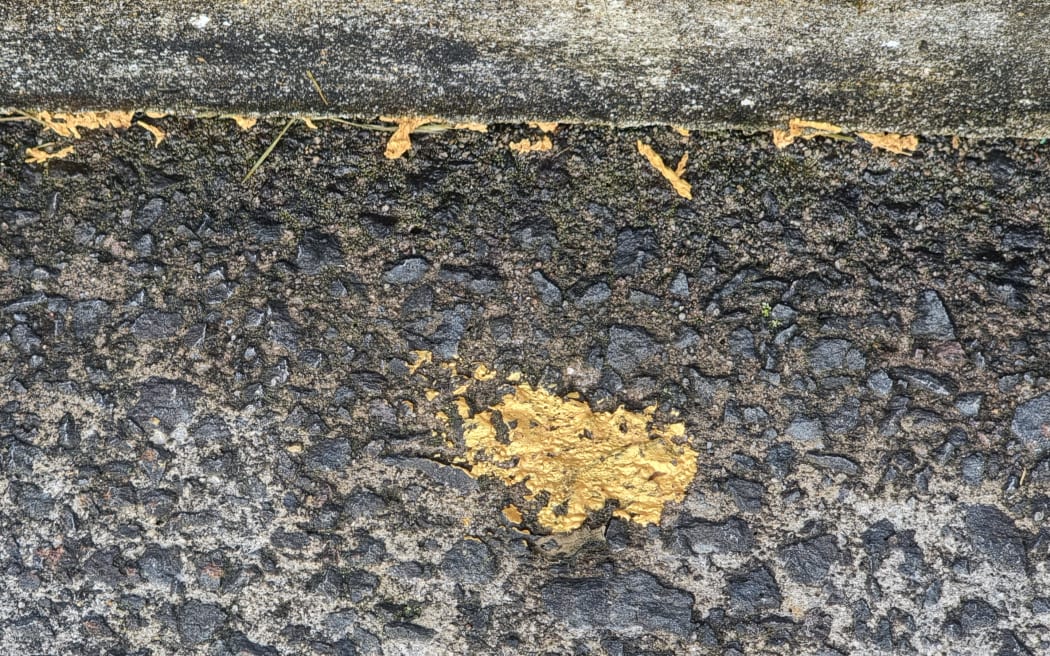 The graves of Kiwi motorsport legend Bruce McLaren and his wife were vandalised at Waikumete Cemetery in Auckland.