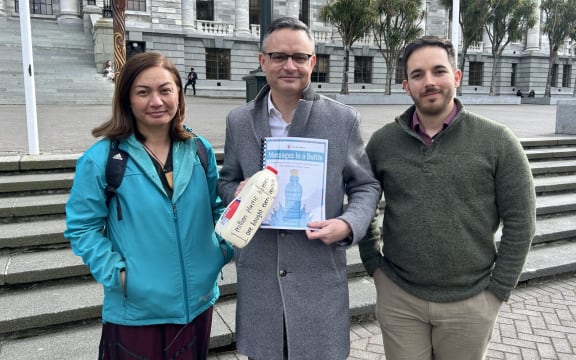 Marama Davidson, James Shaw and Ricardo Menéndez March at Parliament.