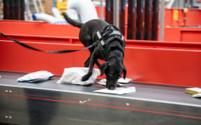 NZ POST APC Auckland Processing Centre
