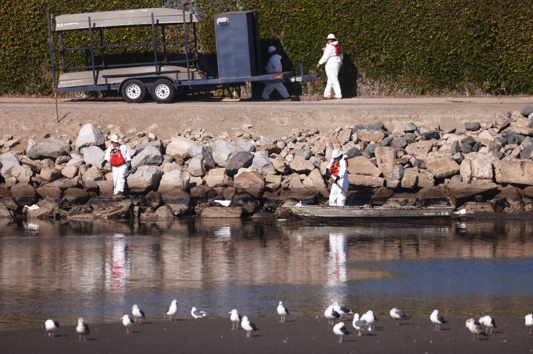 Cleanup workers attempt to contain oil which seeped into Talbert Marsh, home to around 90 bird species, after a 126,000-gallon oil spill from an offshore oil platform in Huntington Beach, California.