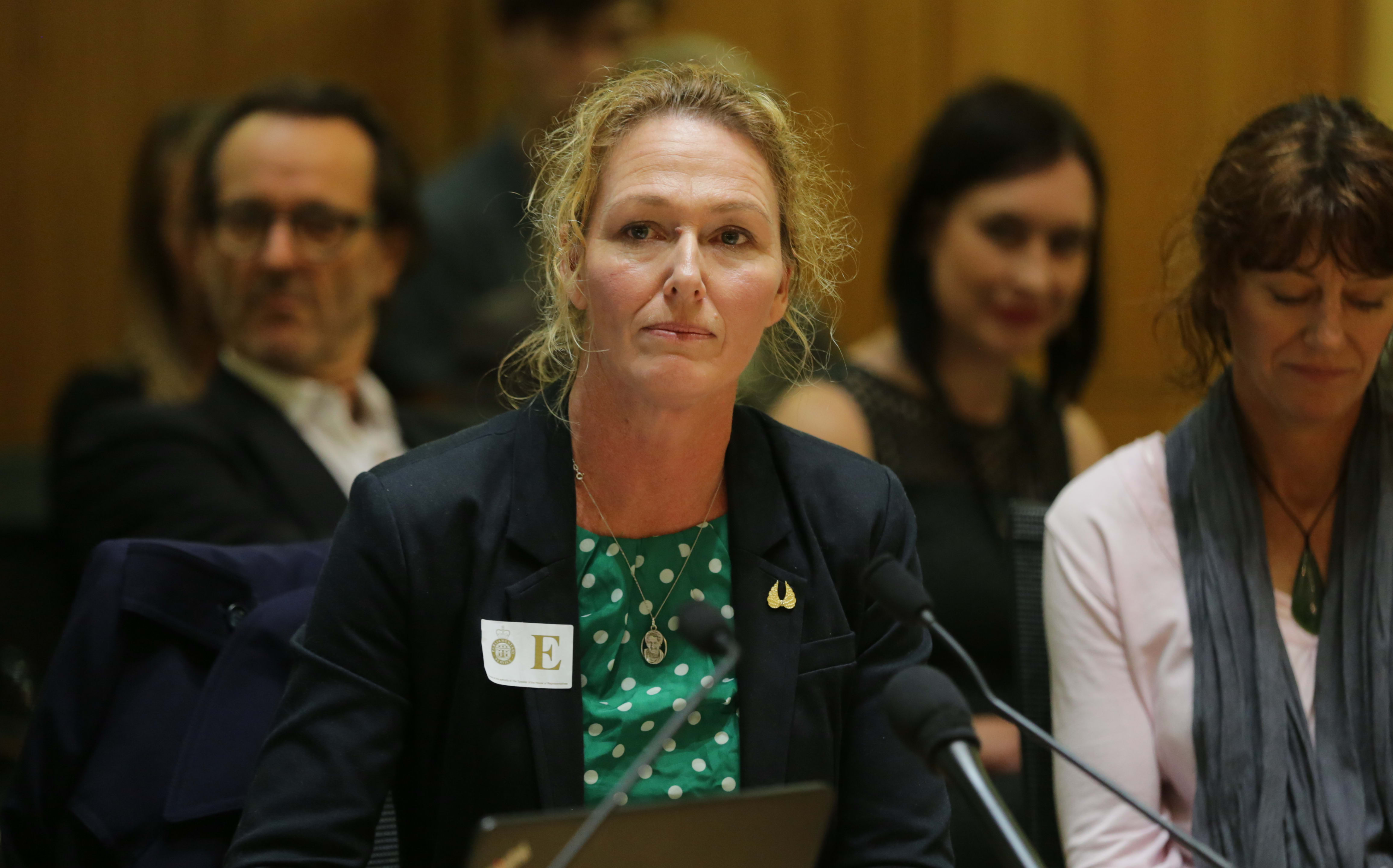 Rose Renton speaking to MPs about her petition to decriminalise cannabis for medicinal use.