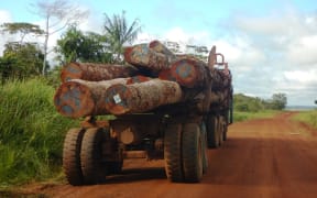 Logs cut from a Special Agricultural Business Lease in Turubu, Papua New Guinea, destined for export.