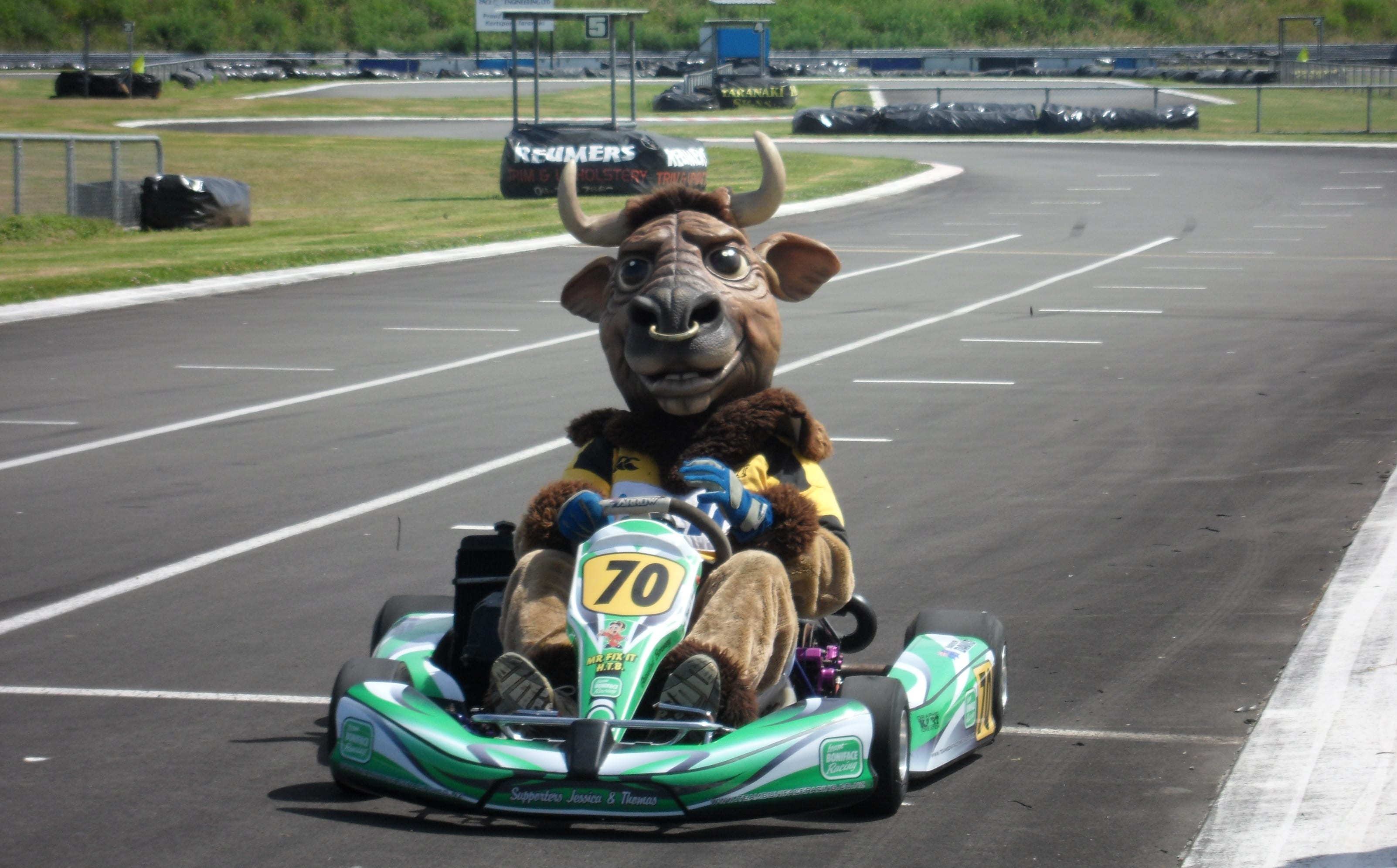 Morris West's Ferdie the Bull has been high energy and unstoppable.