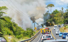 Smoke from the Whakamārama fire