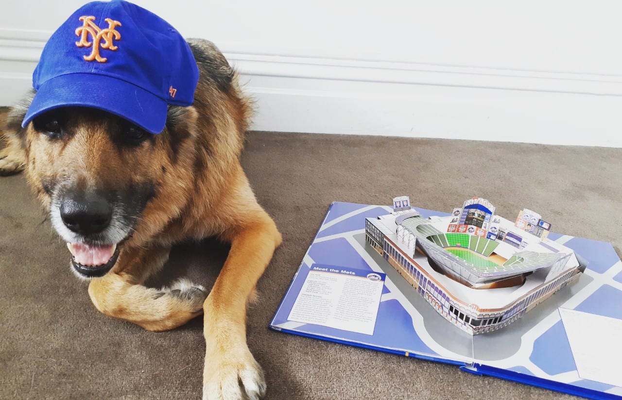 Brooklyn the dog, lamenting the lack of baseball.