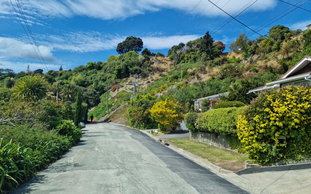 Grenville Terrace in Nelson where many houses remained red or yellow stickered into October, following major floods in the region in August.