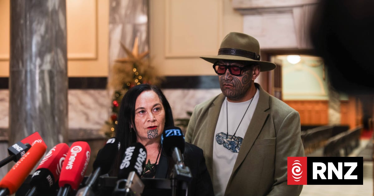 Te Pāti Māori reveals election strategy as campaign launches in Gisborne