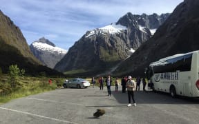 Independent traveler numbers exceeding tour groups