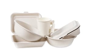Food containers made of bagasse