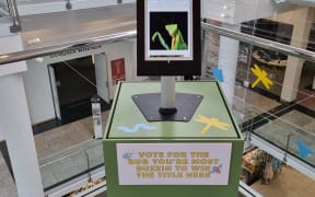 Summer of Bugs display at Otago Museum with Bug of the Year voting booth.