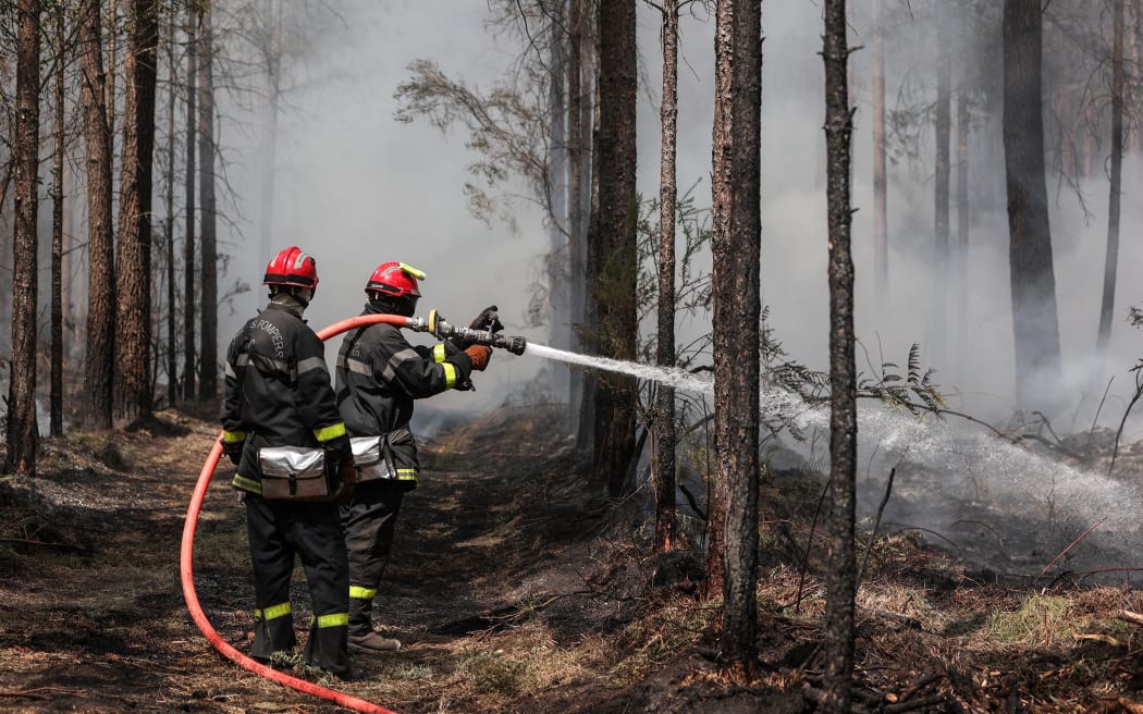 French firefighters spray water to put out lingering hot spots left by a wildfire near Belin-Beliet, southwestern France, on 13 August  2022.
