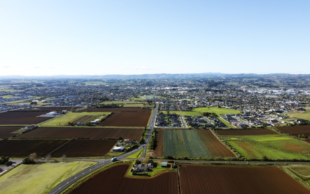 Increased development in Pukekohe is making it harder for those in the horticulture industry, as urban sprawl encroaches on traditional growing areas.