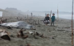 Beachgoers visiting the leopard seal at a Christchurch beach during lockdown level 4. (This photo was shot with a telephoto lens, to obey the DOC advice about keeping a safe perimeter).