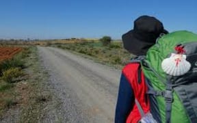 Camino de Santiago