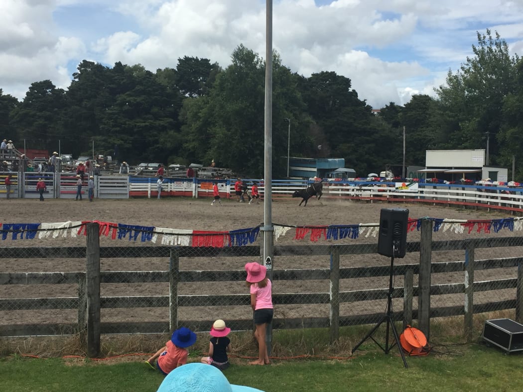 The rodeo at Warkworth.