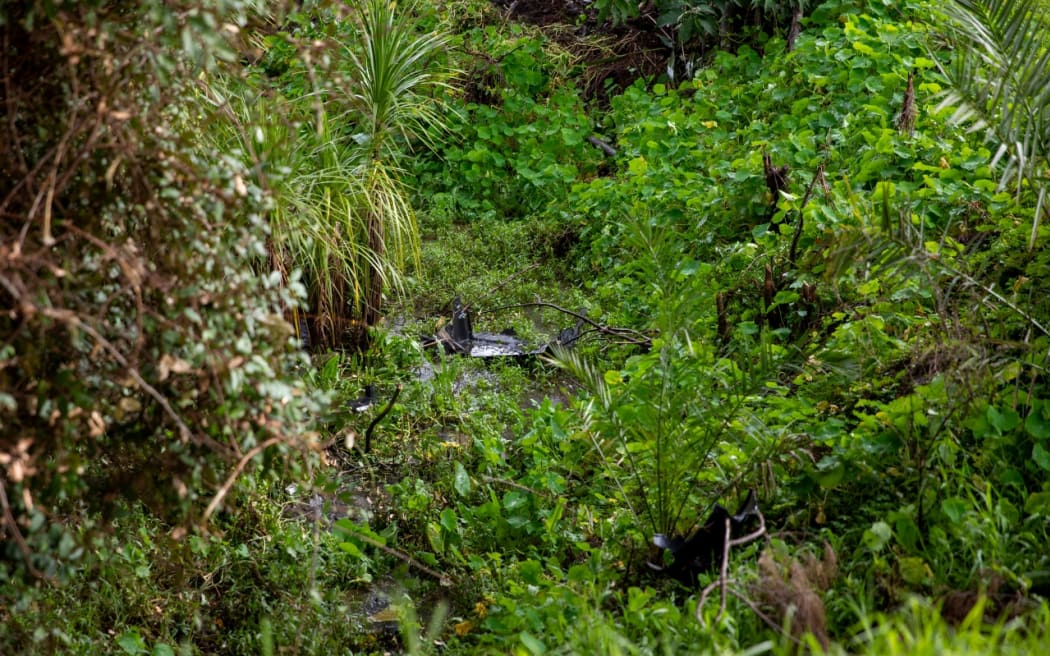 The scene of a serious crash on Coatesville Riverhead Highway in Riverhead where 4 occupants of a vehicle were seriously injured on the evening of 27/06/25. Leftover debris from a vehicle sits in a gully.