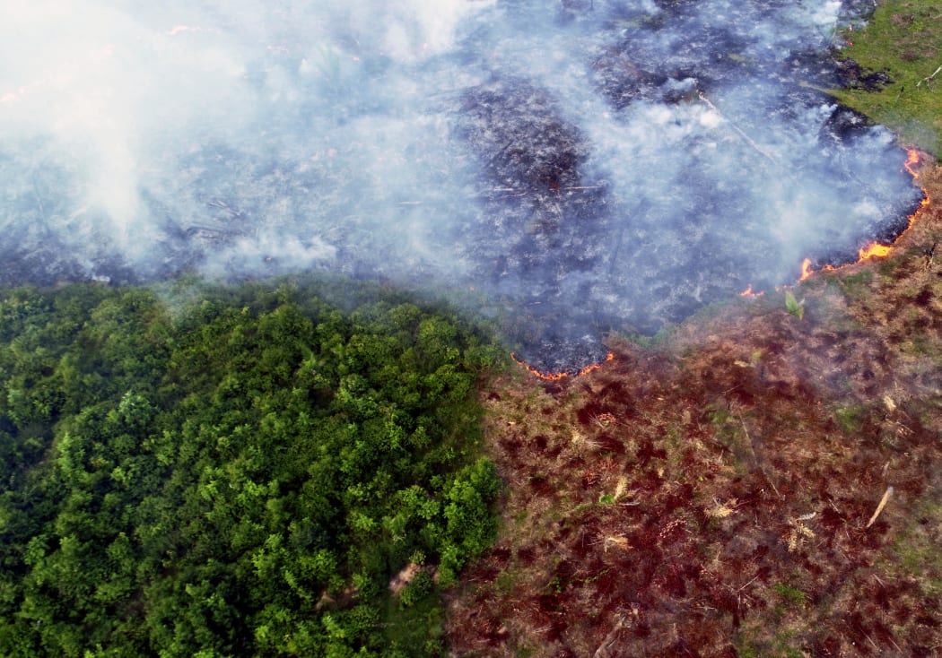 Aerial view of a large forest fire in Ramal do Cinturao Verde, in the Janauaca District, Careiro Castanho, 113 km from Manaus, Amazon region, Brazil, on 4 August 2020