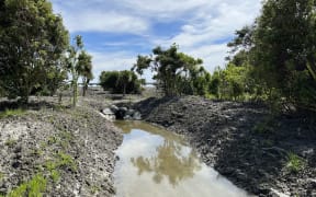 A channel which has been opened up as part of the inanga habitat improvement, with the Hokitika Bridge in the background.