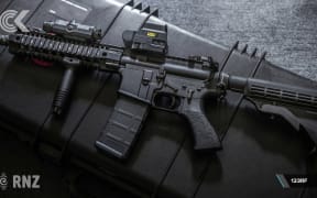 More details about government's gun buyback scheme emerge