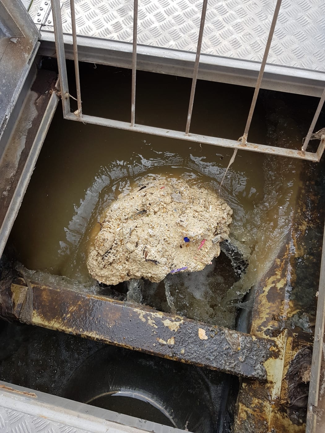 Fatbergs have been blocking up New Plymouth District Council's wastewater networks