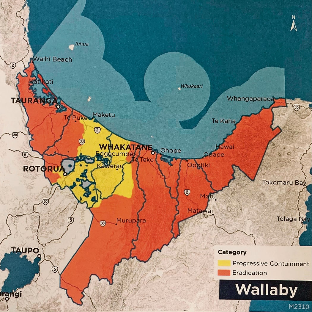 This map of the Bay of Plenty shows the regional council’s wallaby progressive containment and eradication zones.
