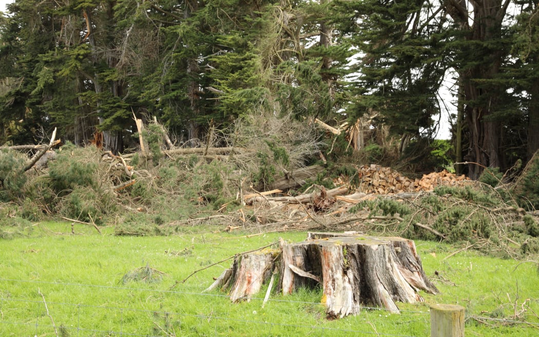 Southland farm with trees down