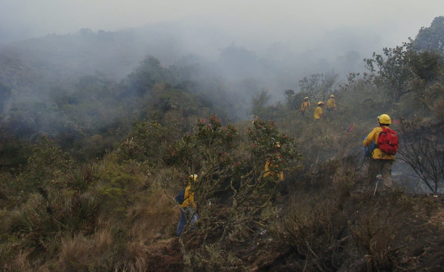 A photo captioned "fires brought under control in four nature reserves", posted by SERNANP on 24 November 2016.