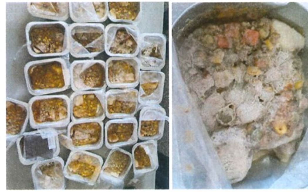 Screenshots taken from the internal investigation done by Haeata Community Campus into mouldy lunches being distributed to students on December 1. 
