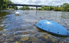 A water quality monitor moored midstream south of Melling Bridge in Hutt River Te Awa Kairangi.