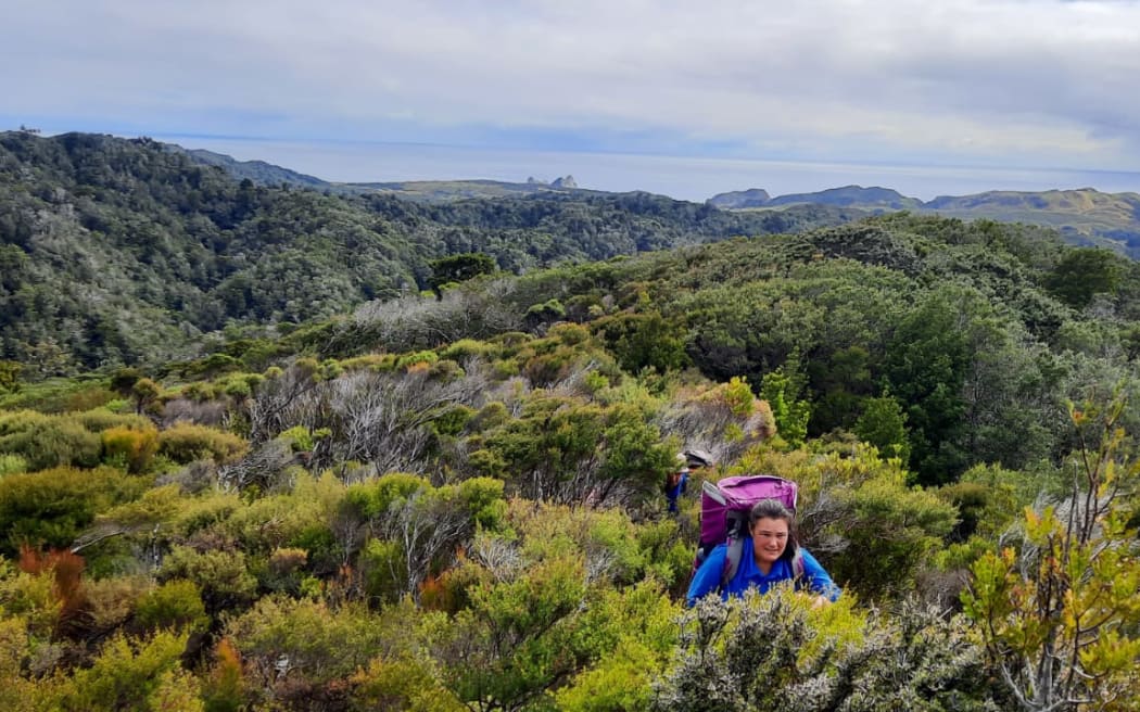 Pest Free Onetahua staff working in Golden Bay