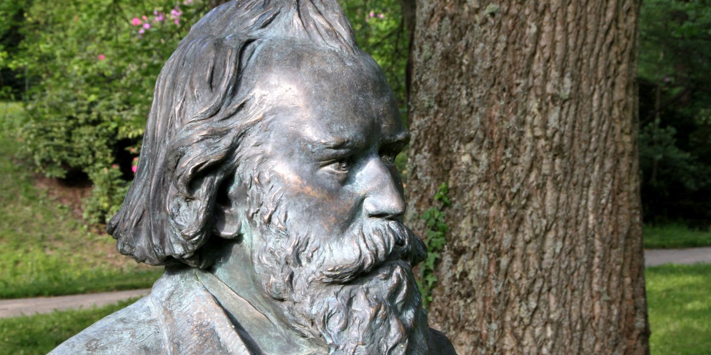 Graphic for Brahms and the Orchestra