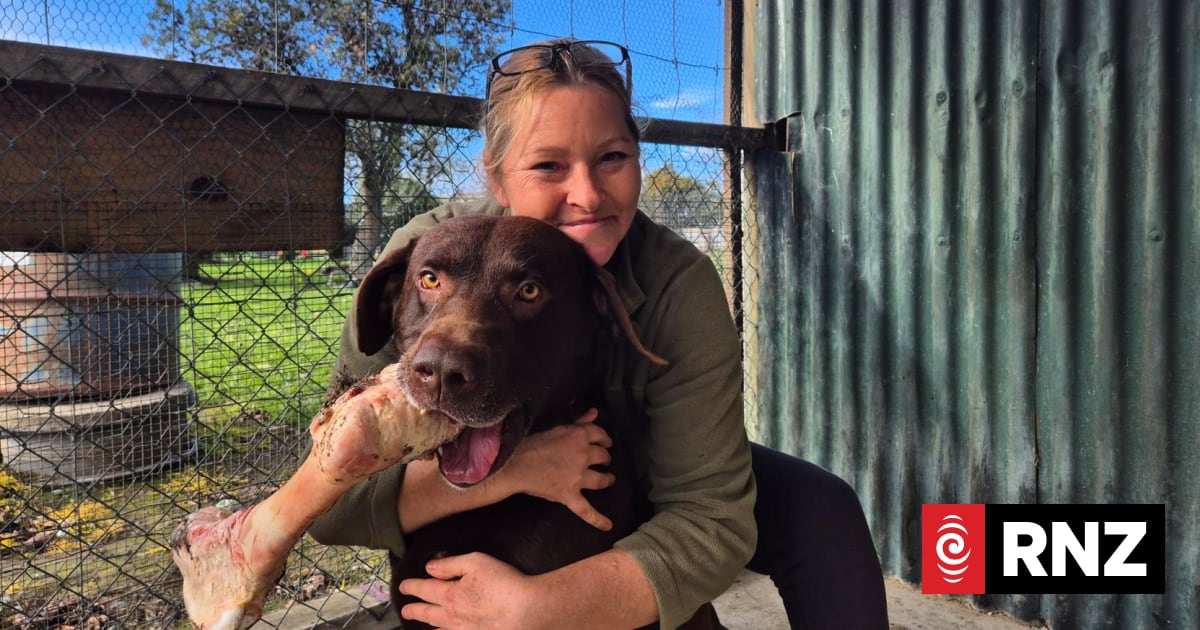 'It's absolutely devastating': Ruahine Animal Rescue evicted from council site